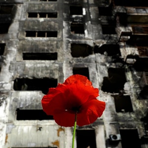 Eine rote Mohnblume vor einem zerstörten Gebäude in der ukrainischen Stadt Mariupol. Ein Symbol, dass die Zeit alle Wunden heilt?