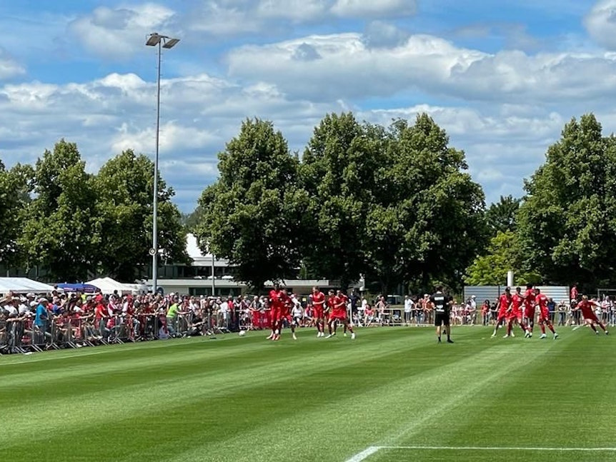 Das Team des 1. FC Köln wärmt sich auf.
