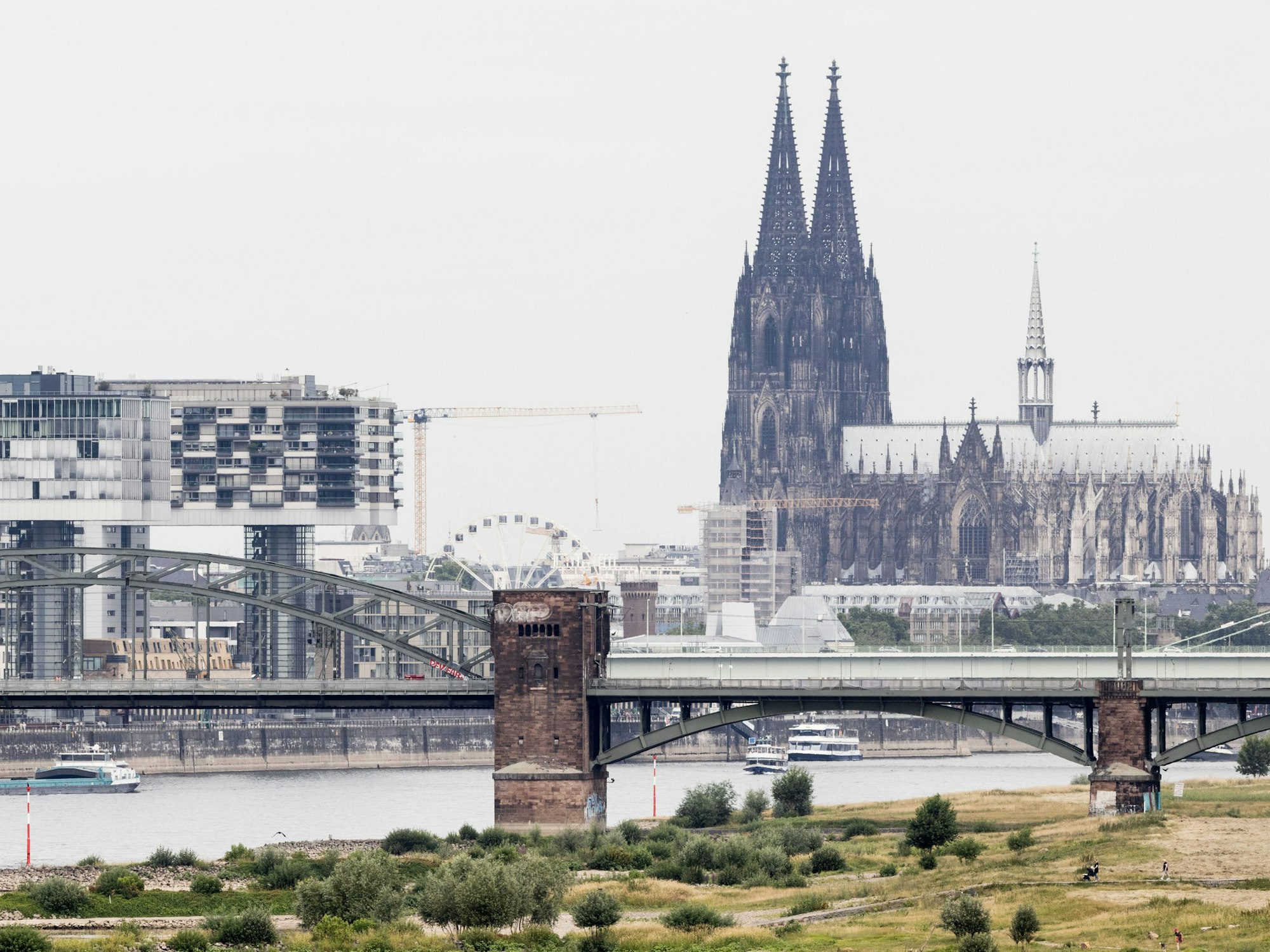 Blick auf den Rhein bei einem Pegel von 154cm - im Hintergrund ist der Kölner Dom zu sehen.