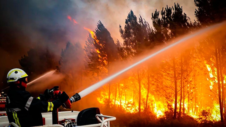 Einsatzkräfte versuchen einen Waldbrand zu löschen