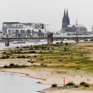 Blick auf den Rhein bei einem Pegel von 154 cm - im Hintergrund ist der Kölner Dom zu sehen. Der Klimawandel hat in Deutschland seit 2000 jährliche Schäden von durchschnittlich 6,6 Milliarden Euro verursacht.