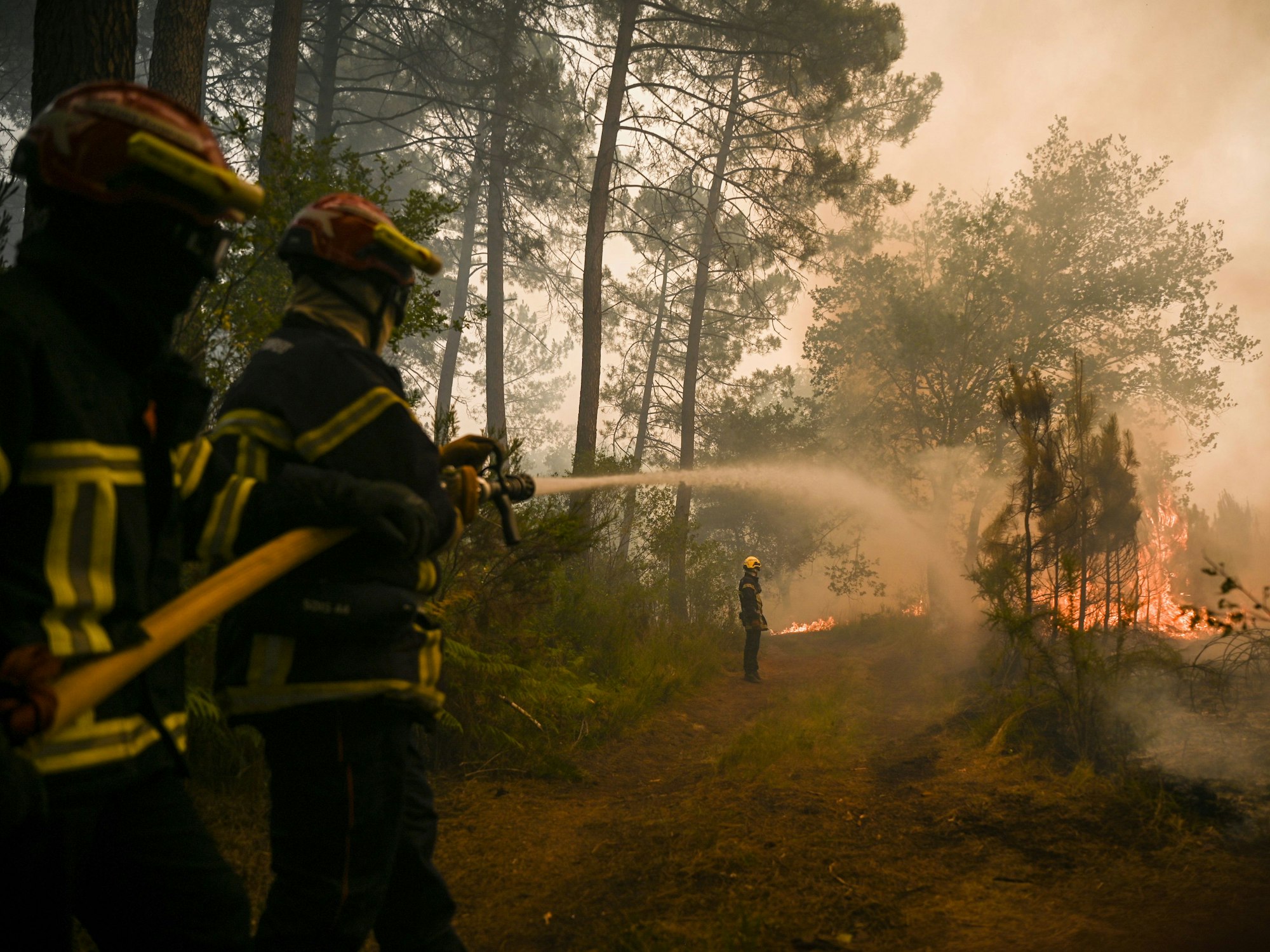 Feuerwehrleute spritzen Wasser auf Bäume bei einem Waldbrand in der Nähe von Louchats. Wegen der Waldbrände an der südfranzösischen Atlantikküste mussten Tausende Menschen vorsichtshalber ihre Häuser verlassen.