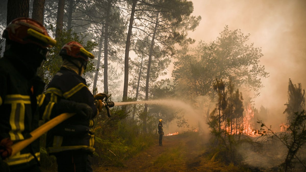 Feuerwehrleute spritzen Wasser auf Bäume bei einem Waldbrand in der Nähe von Louchats. Wegen der Waldbrände an der südfranzösischen Atlantikküste mussten Tausende Menschen vorsichtshalber ihre Häuser verlassen.