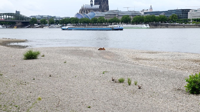 Der Rhein in Köln mit Niedrigwasser und einem&nbsp;Pegelstand um die 1,79 Meter am 22. Juni 2022.