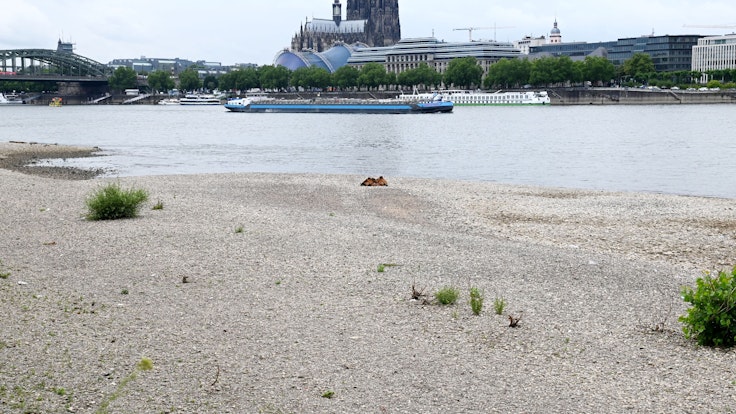 Der Rhein in Köln mit Niedrigwasser und einem Pegelstand um die 1,79 Meter am 22. Juni 2022.