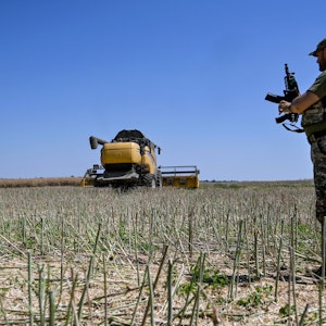 Ein Soldat steht während der Erntezeit auf einem Feld in der Ukraine, Aufnahme von Juli 2022.