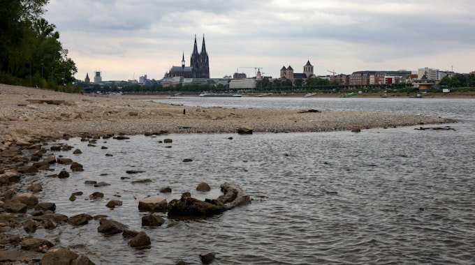 Rheinufer in Köln mit wenig Wasser. Der Juli in NRW war viel zu trocken.