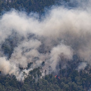 Blick aus einem Hubschrauber der Bundespolizei auf die Waldbrände Nationalpark Sächsische Schweiz.