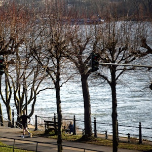 Ein Jogger läuft am Niederländer Ufer in Köln-Riehl (19. Februar 2012). Hier soll ein Köln-Tourist (59) von einem Mann attackiert worden sein. Der 23-Jährige wurde festgenommen.