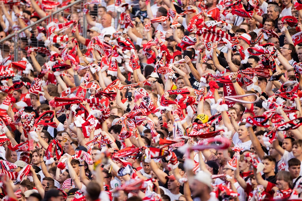 Fans des 1. FC Köln winken mit Schals.