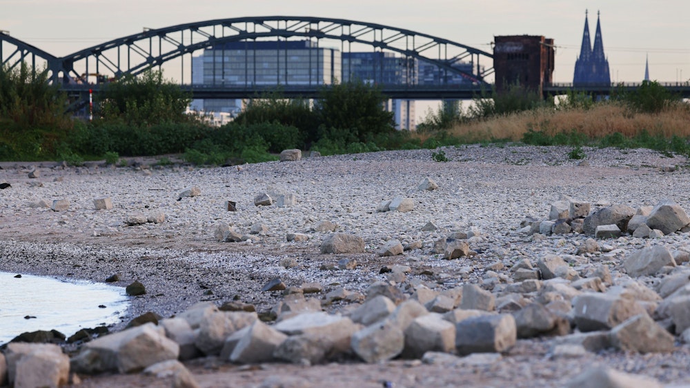 Steine liegen bei niedrigem Rheinpegel am Ufer.