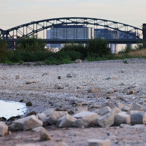 Steine liegen bei niedrigem Rheinpegel am Ufer.