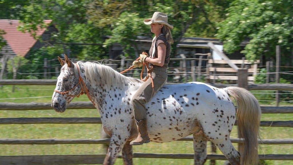 Das Foto aus dem Jahr 2020 zeigt Franziska Ameling-Hinrichs, Besitzerin der Flower Horse Ranch in Gersdorf (Sachsen).