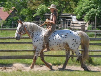 Das Foto aus dem Jahr 2020 zeigt Franziska Ameling-Hinrichs, Besitzerin der Flower Horse Ranch in Gersdorf (Sachsen).