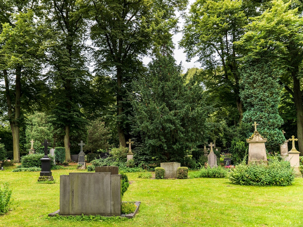 Blick auf eine Grünfläche mit Gräbern auf dem Melatenfriedhof in Köln.