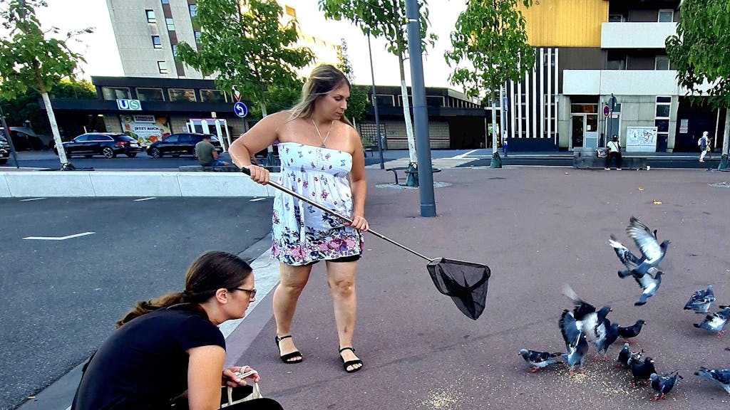 Giuliana Tadiotti und Jamie-Lynn Winkler-Jacobs vom Verein „Pigeon Rights“ versuchen, eine verletzte Taube in Köln-Chorweiler einzufangen.