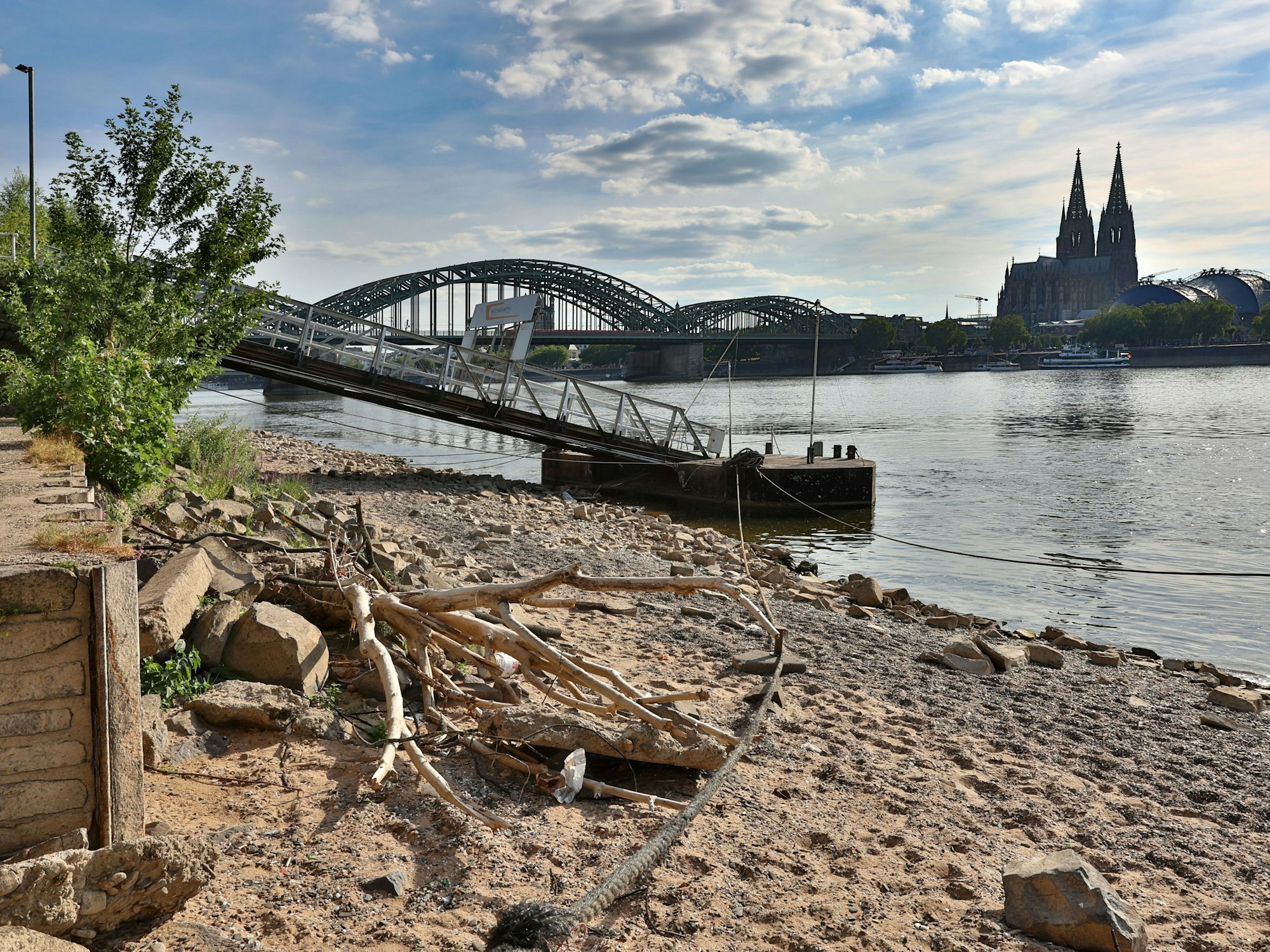 Der Rhein am 2. August 2022 rechtsrheinisch unterhalb des Messeturmes
Rheinpegel in Köln.