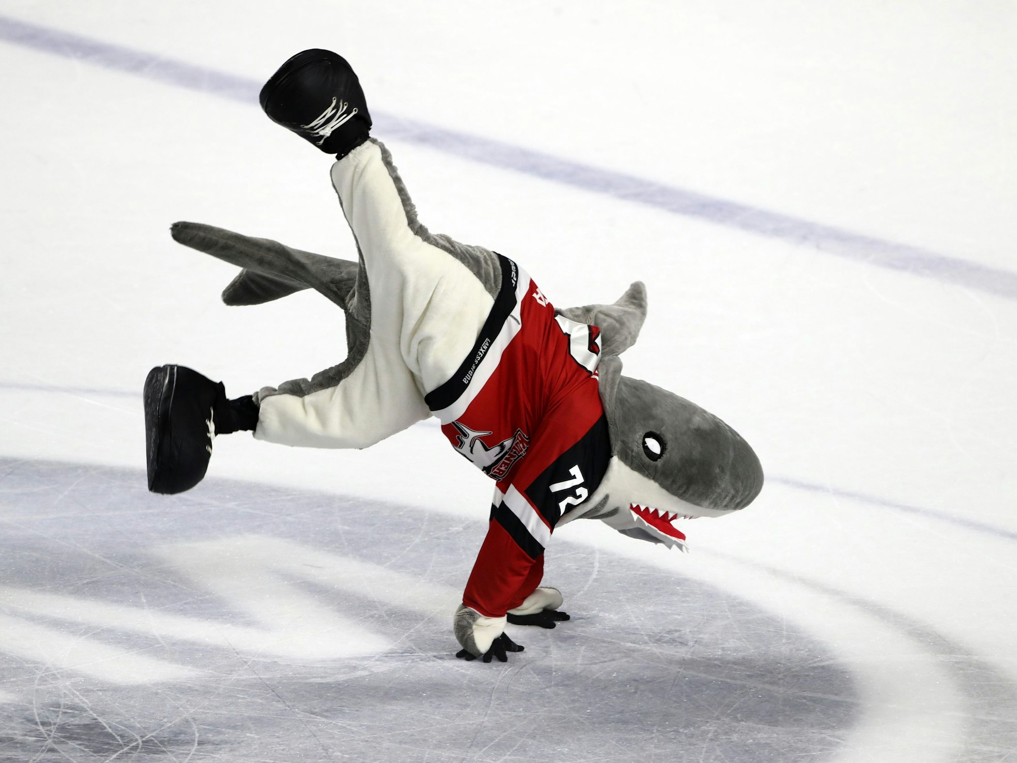 Maskottchen Sharky (Kölner Haie) tanzt auf dem Eis.