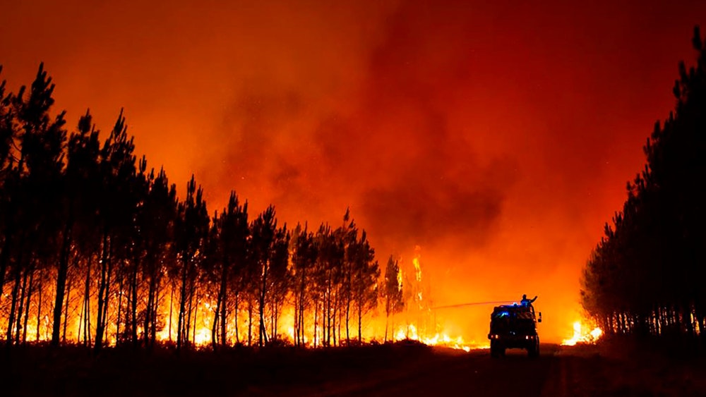 Bäume brennen, dazwischen ein Einsatzfahrzeug der Feuerwehr.