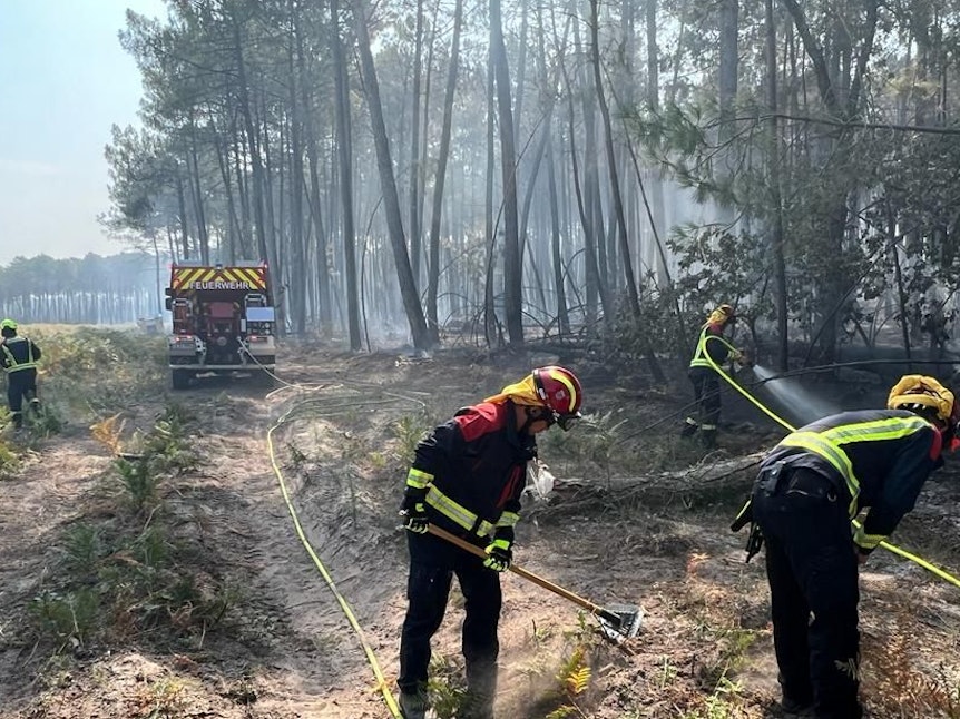 Einsatzkräfte der Feuerwehr entfernen an einem Waldstück den brennbaren Untergrund.