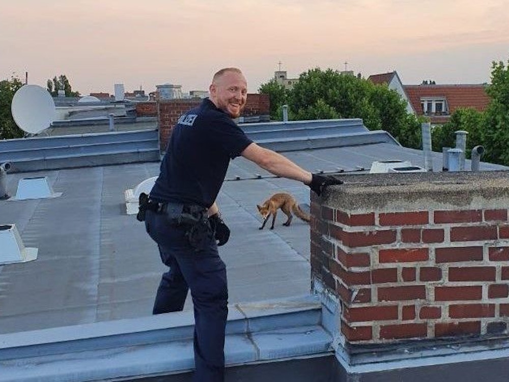 Die Polizei Berlin bewahrte sich bei dem Einsatz auf dem Dach die gute Laune.