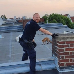 Die Polizei Berlin bewahrte sich bei dem Einsatz auf dem Dach die gute Laune.