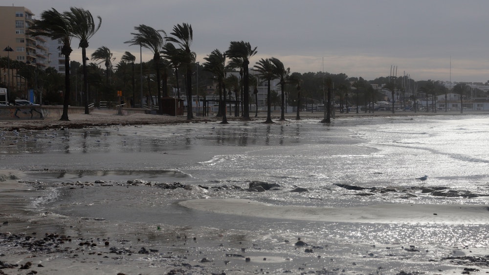 Nach Rekordhitze folgt Sturm und Regen: Auf Mallorca wird ein Wetterumschwung erwartet, am Montag (15. August) gilt die Warnstufe Gelb. Unser Foto zeigt den Strand von Arenal im Januar 2021.