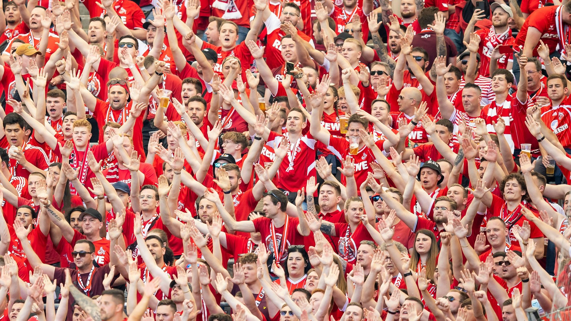 Die Fans im Gästeblock des 1. FC Köln sind in rot gekleidet.