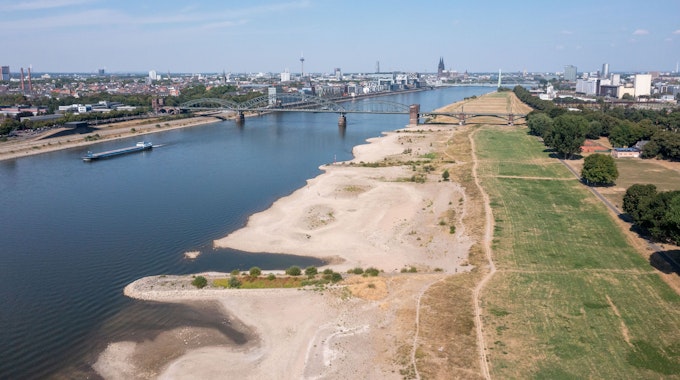 Große Sandbänke werden im Rhein bei den Poller-Wiesen sichtbar. Der Fluss führt Niedrigwasser.