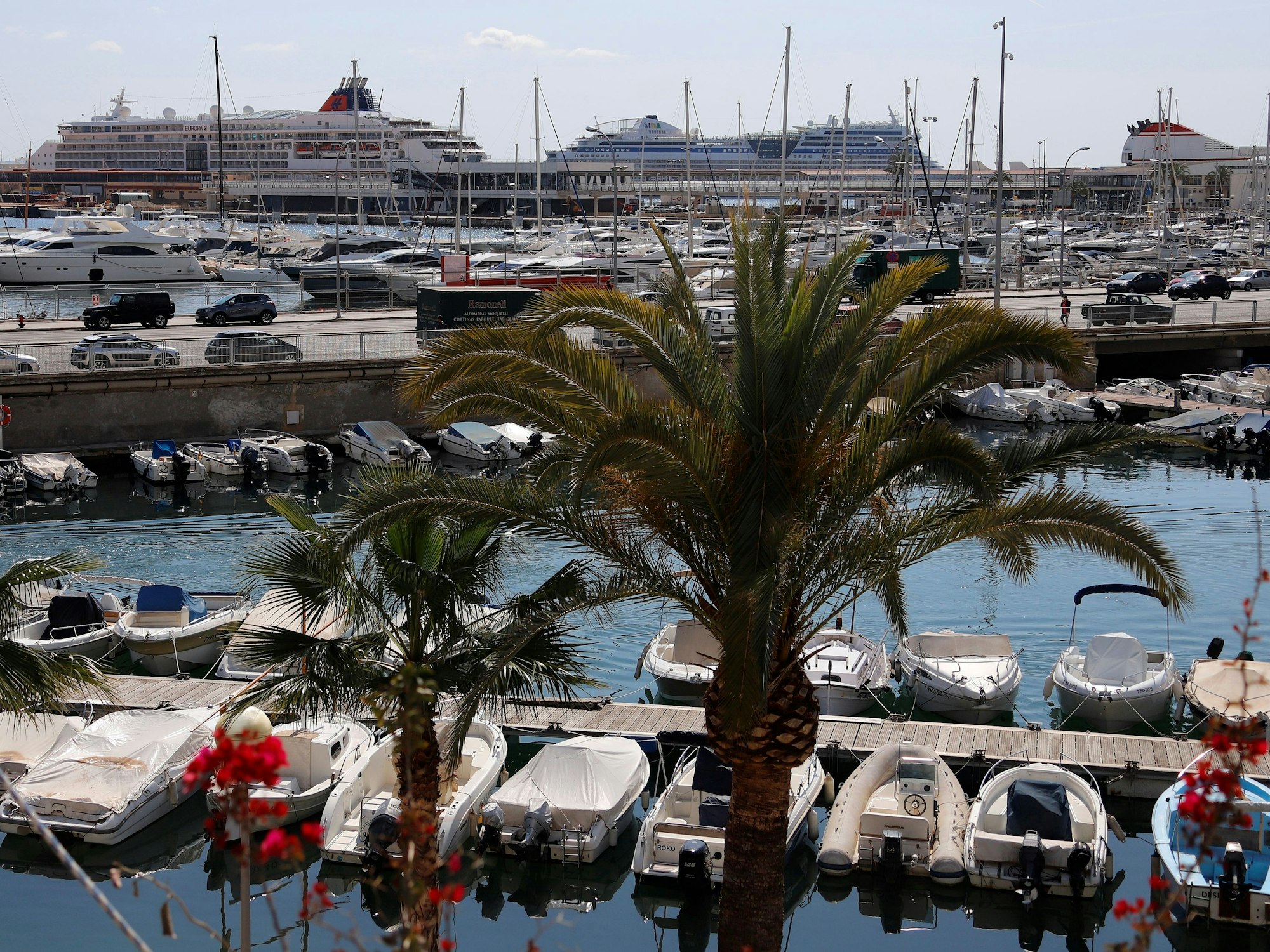 Urlauber haben im Hafen von Palma de Mallorca (hier ein Archivfoto) eine Leiche entdeckt.