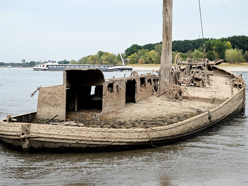 Altes Schiffswrack im Rhein zu sehen. Es wurde früher offenbar für den Aalfang eingesetzt.