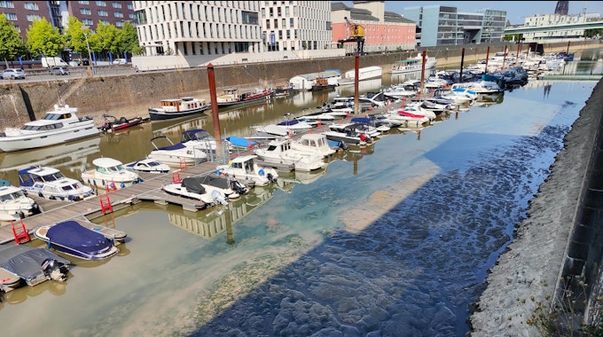 Die Boote im Rheinauhafen in Köln stecken aufgrund des niedrigen Pegels im Schlamm fest.
