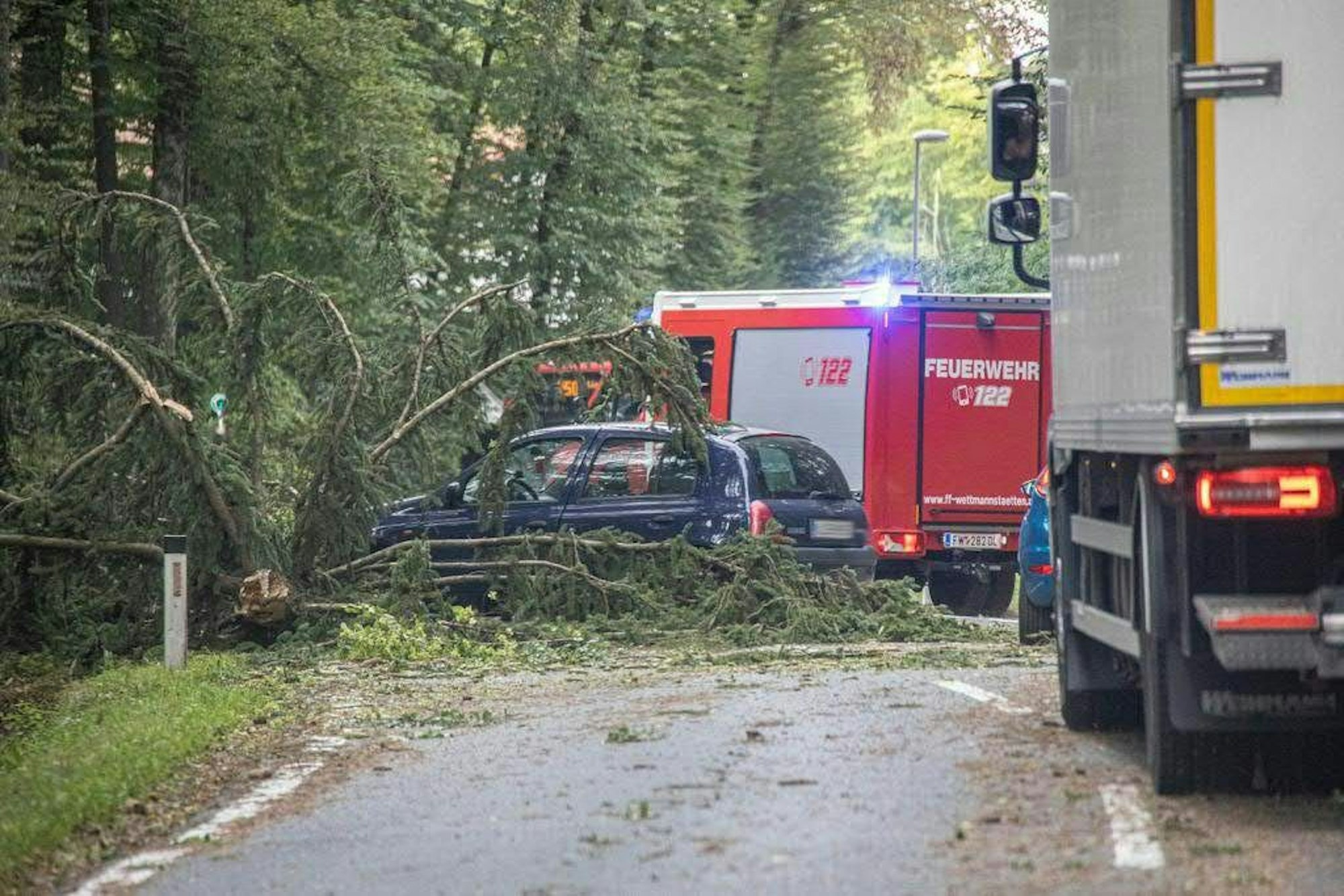 Ein Feuerwehrauto und weitere Fahrzeuge stehen nach einem Unwetter auf einer Straße neben einem umgekippten Baum in der Steiermark (Österreich).
