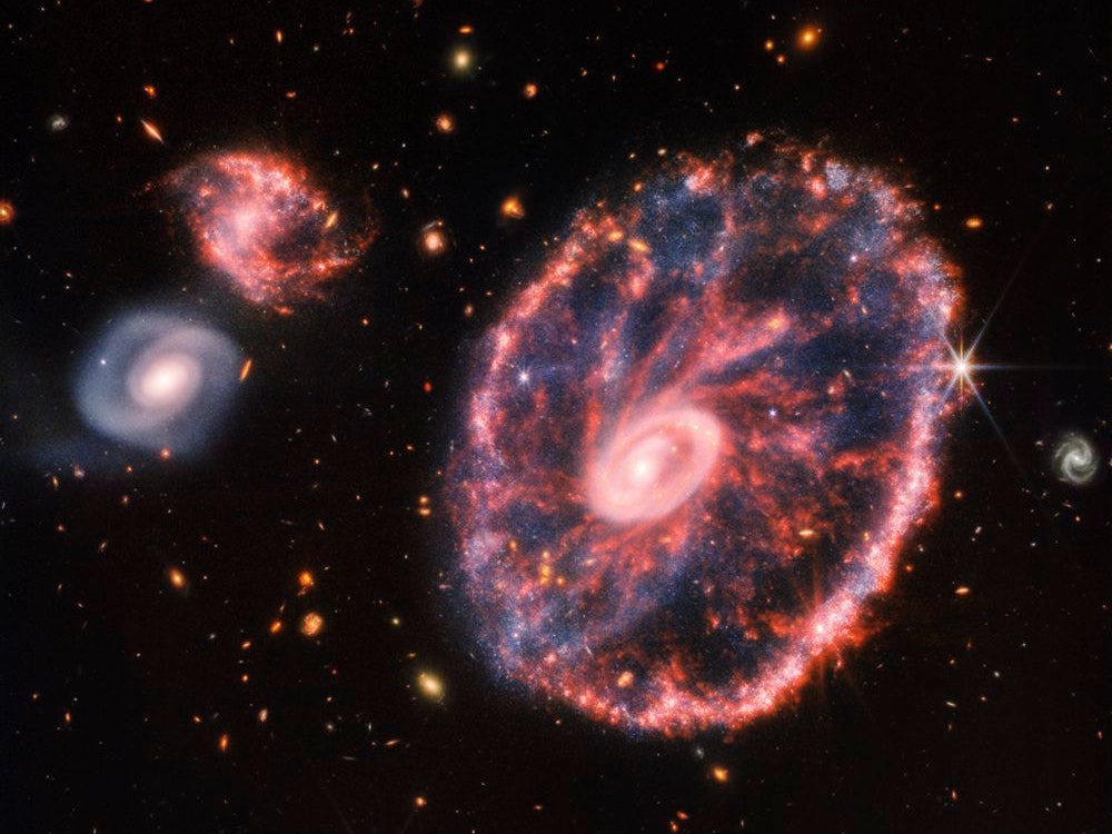 Die Cartwheel-Galaxie im Sternbild Sculptor heißt so, weil sie aussieht wie ein Wagenrad. Was die Forschenden der US-Raumfahrbehörde Nasa bislang über sie wissen, ist, dass sie aus einer Hochgeschwindigkeitskollision zwischen einer großen Spiralgalaxie und einer kleineren Galaxie entstanden ist. Im Zentrum der Cartwheel-Galaxie klafft ein schwarzes Loch.