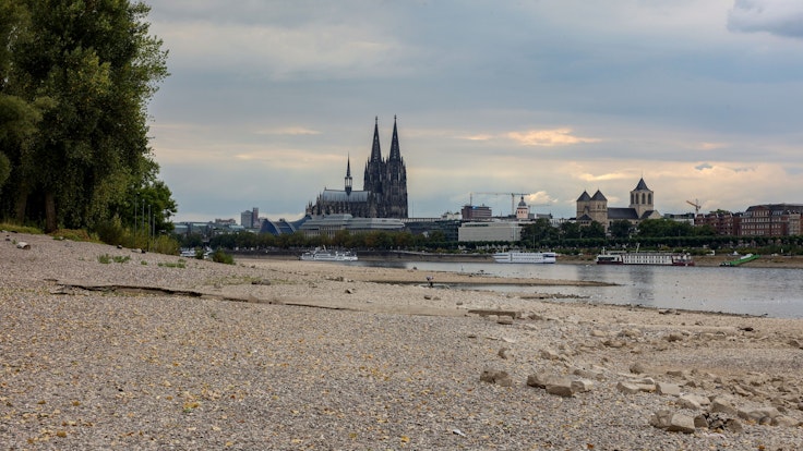 Der Rhein mit extremem Niedrigwasser, dahinter ist der Kölner Dom zu sehen.