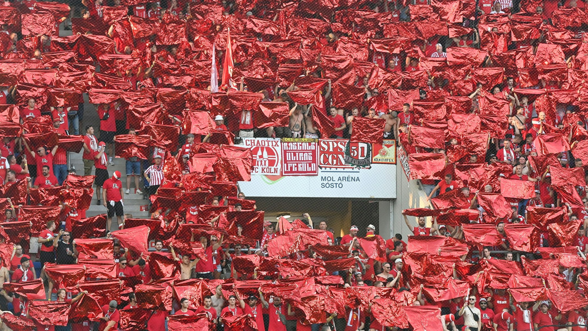 Fans des 1. FC Köln beim Playoff-Spiel beim Fehérvár FC auf der Tribüne