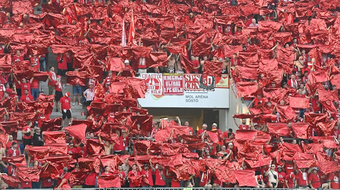 Fans des 1. FC Köln beim Playoff-Spiel beim Fehérvár FC auf der Tribüne