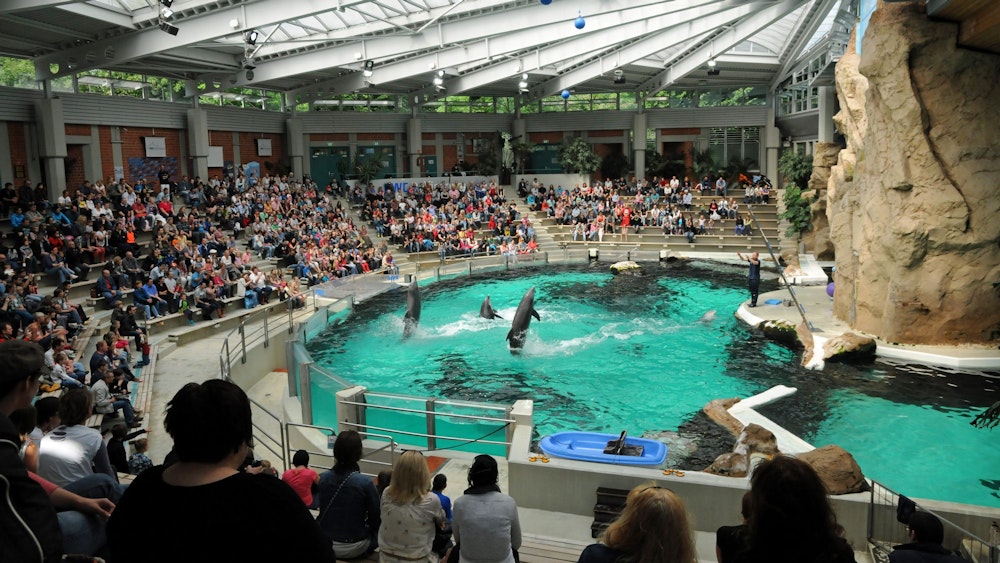 Delfine springen am im Juli 2012 im Delfinarium im Duisburger Zoo bei einer Vorführung aus dem Wasser. Jetzt haben Aktivisten eine solche Show gestört.