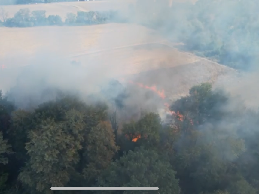 Ein Waldbrand in Köln-Buchheim hielt die Feuerwehr auf Trab.