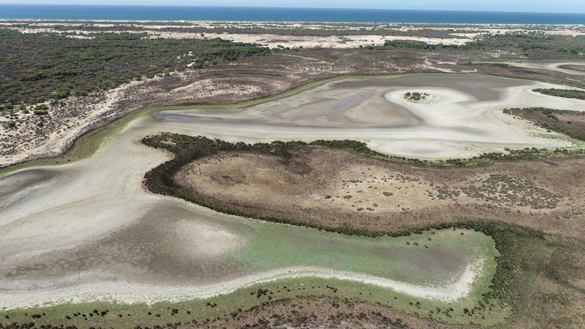 Eine Luftaufnahme der Lagune Santa Olalla am 2. September 2022. Der Nationalpark Coto de Doñana im Süden Spaniens, eines der wichtigsten Feuchtgebiete Europas, ist ausgetrocknet.