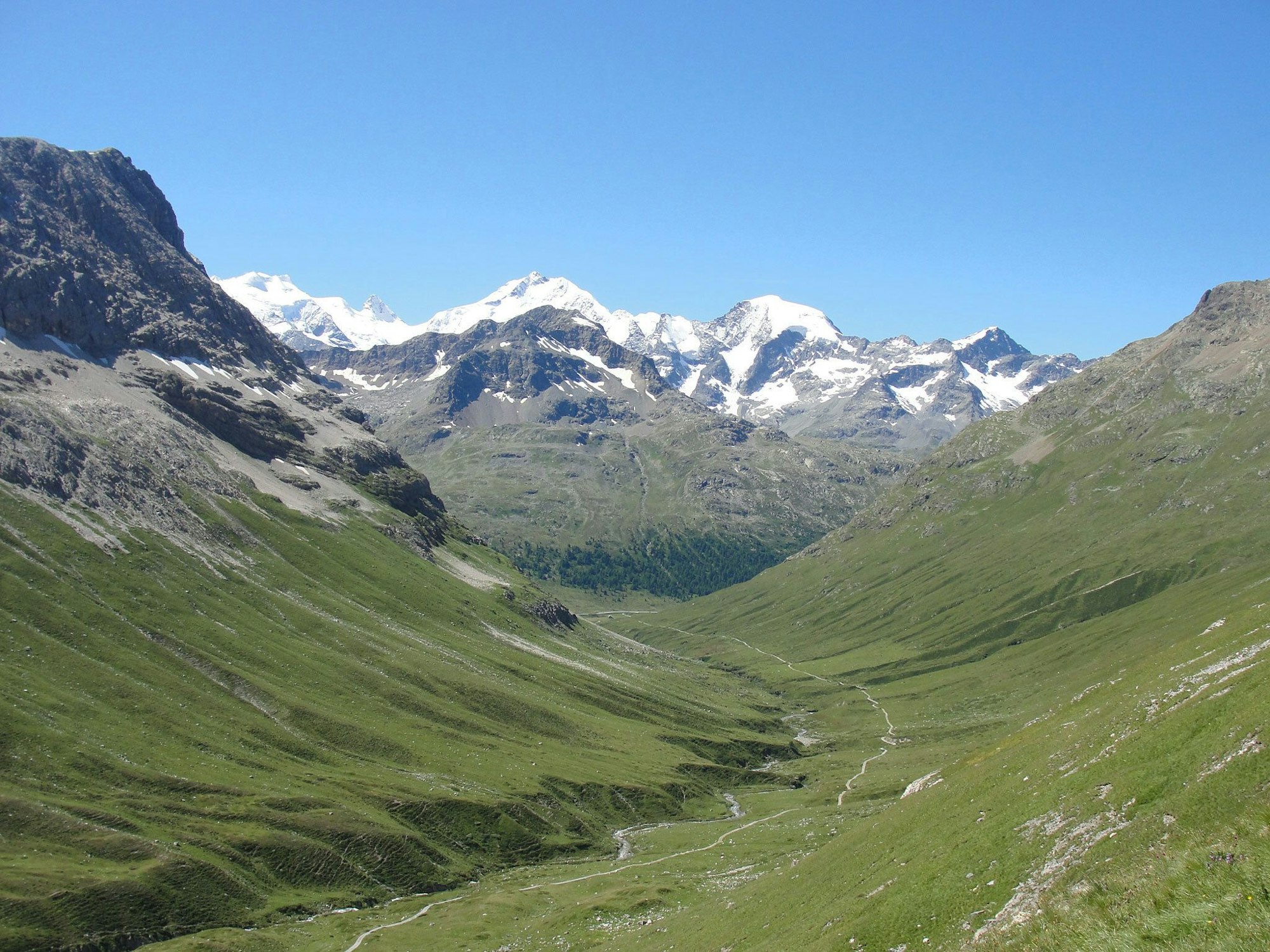 Die Alpen: Blick vom Val da Fain auf den Piz Bernina in der Schweiz.