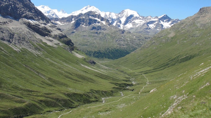 Die Alpen: Blick vom Val da Fain auf den Piz Bernina in der Schweiz.