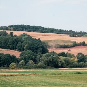 Das undatierte Symbolfoto zeigt eine Landschaft mit wenig grünen und vielen vertrocknet-braunen Feldern, dazwischen stehen Bäume.