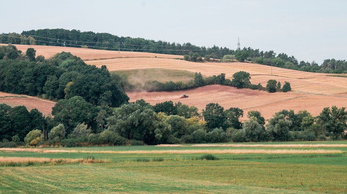 Das undatierte Symbolfoto zeigt eine Landschaft mit wenig grünen und vielen vertrocknet-braunen Feldern, dazwischen stehen Bäume.