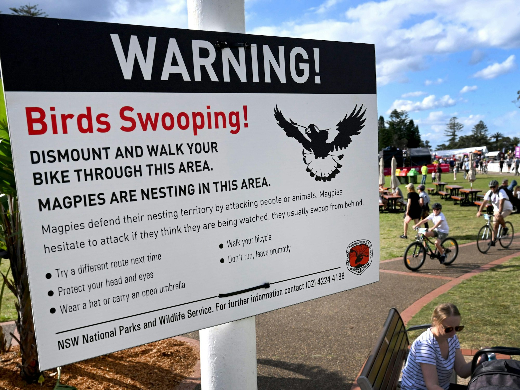 Ein Hinweisschild warnt vor aggressiven Elstern in Australien