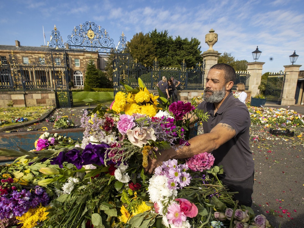 Dienstag, 20. September: Blumen, die zu Ehren von Königin Elizabeth II. im Hillsborough Castle niedergelegt wurden, werden ein Tag nach dem Staatsbegräbnis der Queen vom Hillsborough Gardening Team und Freiwilligen eingesammelt, um sie wieder einzupflanzen, wenn sie gerettet oder kompostiert werden können.