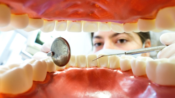 Das Symbolfoto zeigt eine Zahnarzthelferin am 31. März 2014 in einer Zahnarztpraxis in Hannover (Niedersachsen) hinter einem künstlichen, überdimensionierten Gebiss.