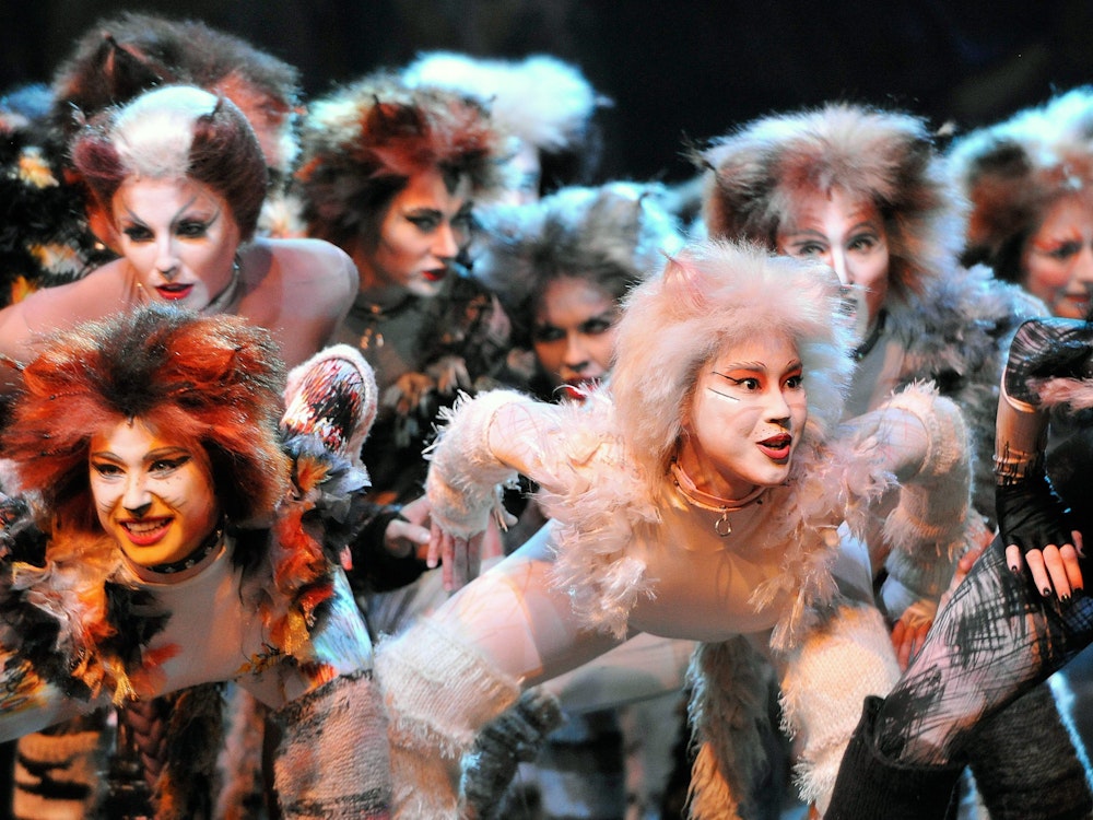 Darsteller und Darstellerinnen in Katzenkostümen stehen in einer Gruppe auf der Bühne.