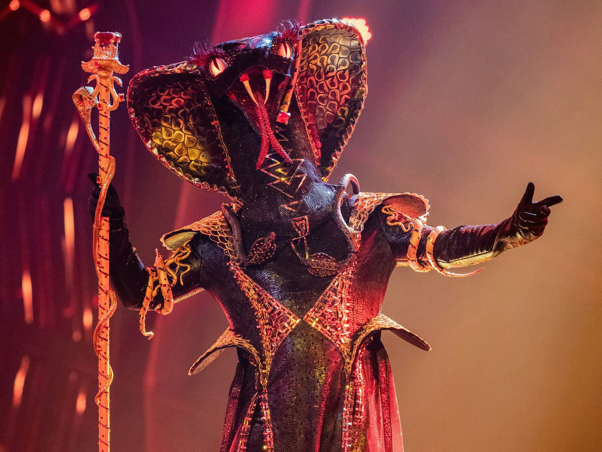 Die Figur„Die Black Mamba“ steht in der ProSieben-Show„The Masked Singer“ auf der Bühne.