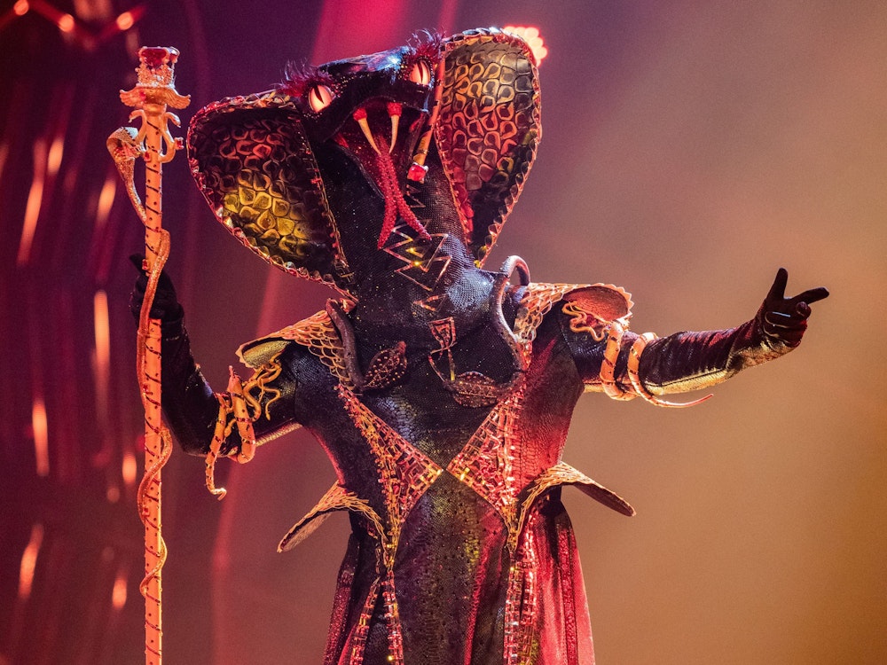 Die Figur „Die Black Mamba“ steht in der ProSieben-Show „The Masked Singer“ auf der Bühne.